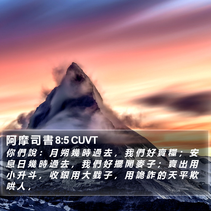 阿 摩 司 書 8:5 CUVT Bible Study