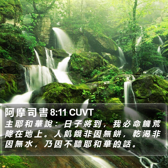阿 摩 司 書 8:11 CUVT Bible Study