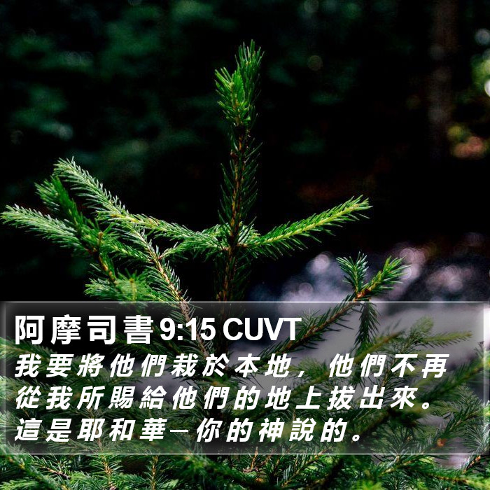 阿 摩 司 書 9:15 CUVT Bible Study