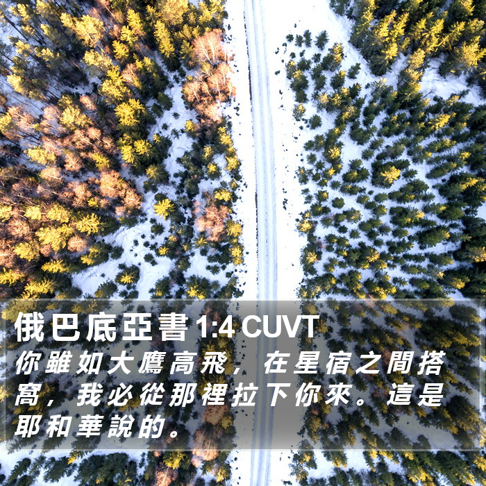 俄 巴 底 亞 書 1:4 CUVT Bible Study