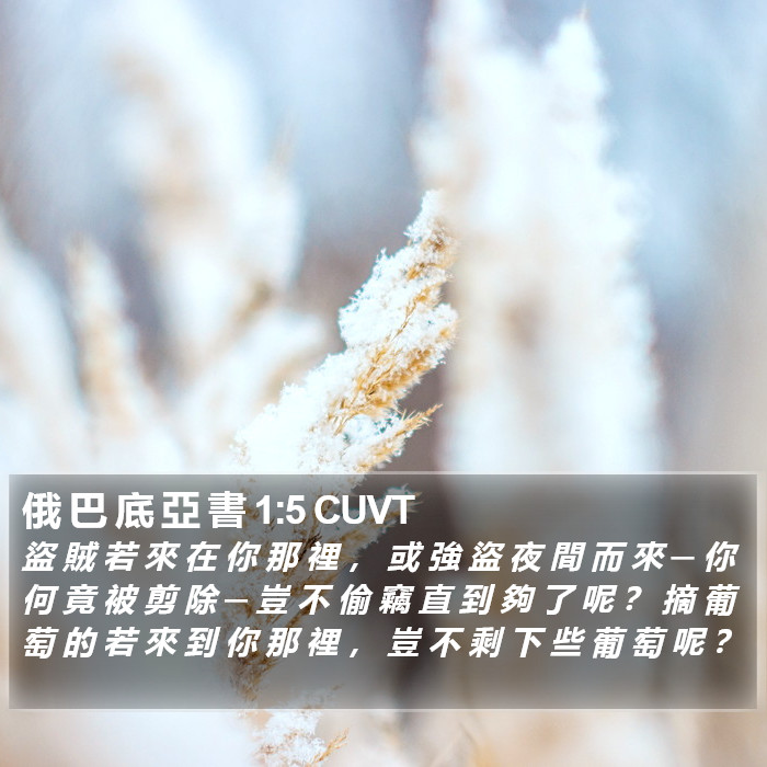 俄 巴 底 亞 書 1:5 CUVT Bible Study