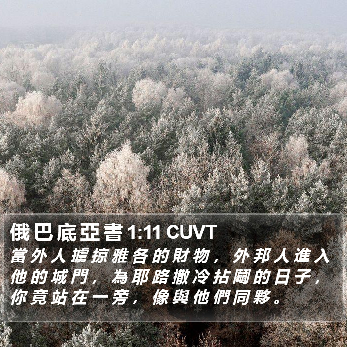 俄 巴 底 亞 書 1:11 CUVT Bible Study