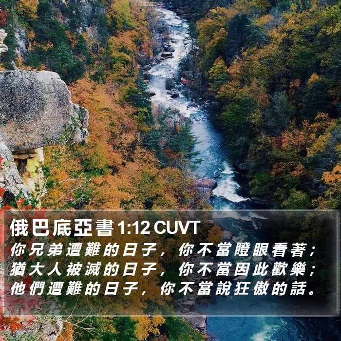 俄 巴 底 亞 書 1:12 CUVT Bible Study