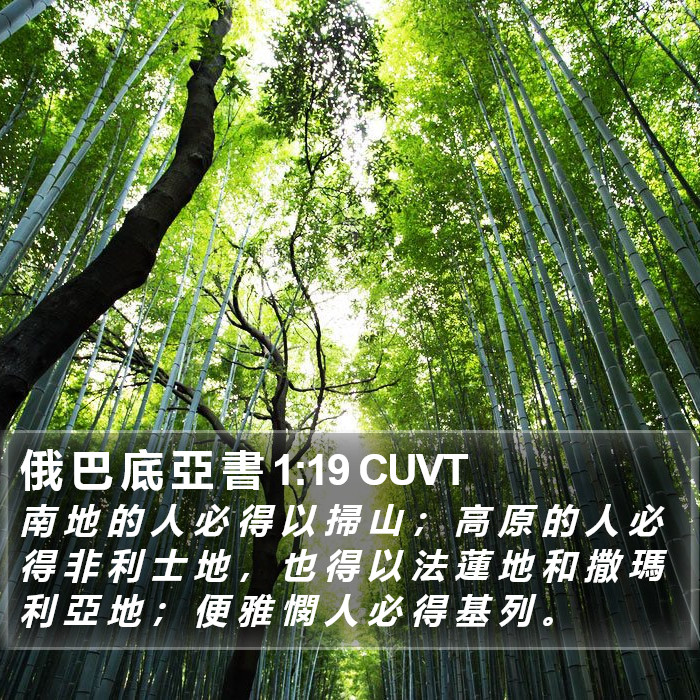 俄 巴 底 亞 書 1:19 CUVT Bible Study