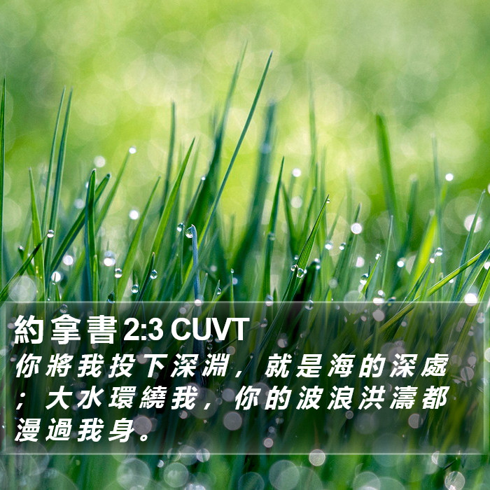 約 拿 書 2:3 CUVT Bible Study