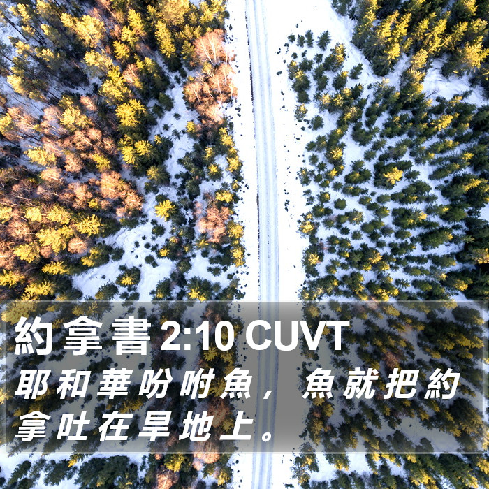 約 拿 書 2:10 CUVT Bible Study