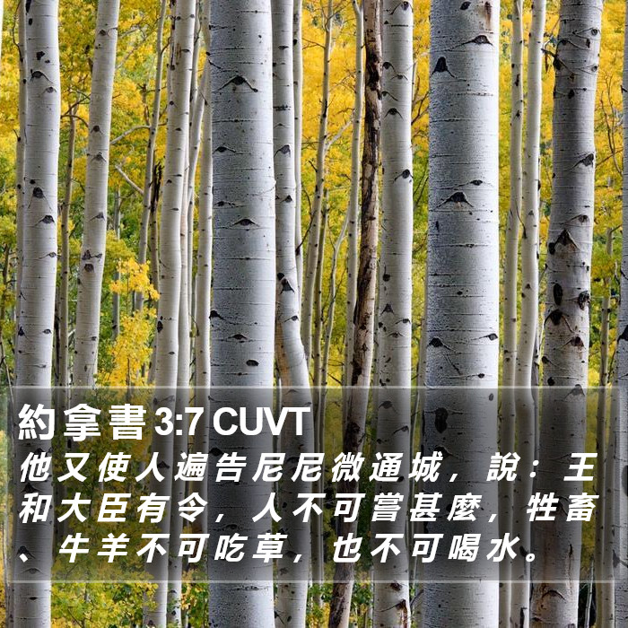 約 拿 書 3:7 CUVT Bible Study