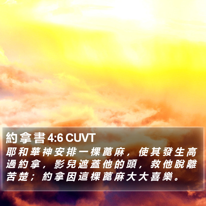 約 拿 書 4:6 CUVT Bible Study
