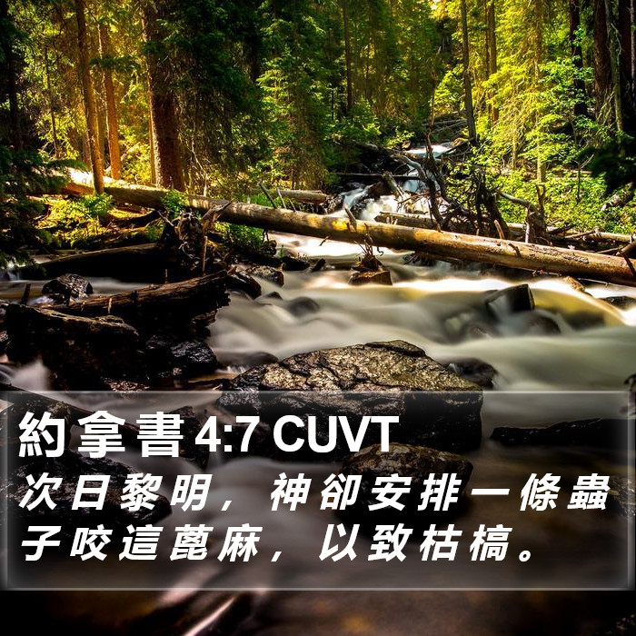 約 拿 書 4:7 CUVT Bible Study