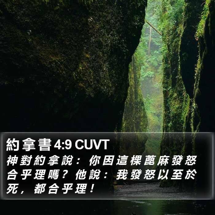 約 拿 書 4:9 CUVT Bible Study