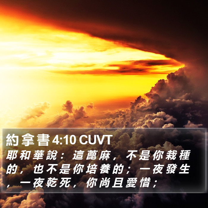約 拿 書 4:10 CUVT Bible Study