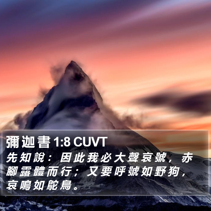 彌 迦 書 1:8 CUVT Bible Study