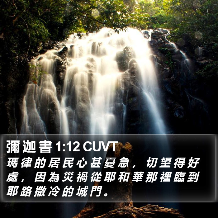 彌 迦 書 1:12 CUVT Bible Study