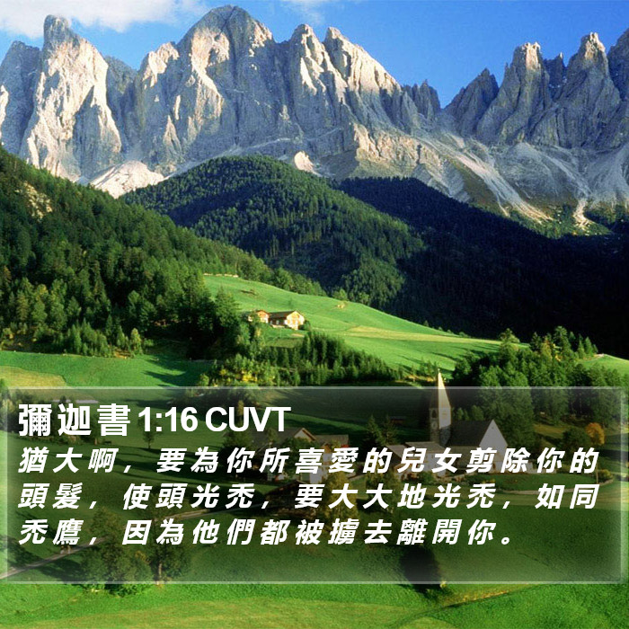 彌 迦 書 1:16 CUVT Bible Study