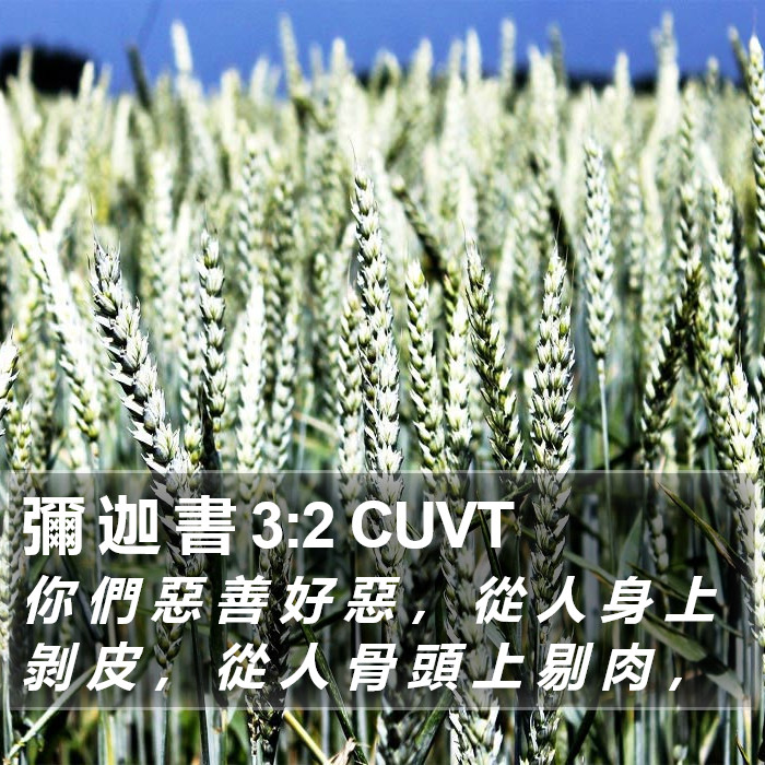 彌 迦 書 3:2 CUVT Bible Study