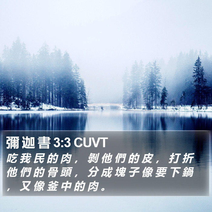 彌 迦 書 3:3 CUVT Bible Study