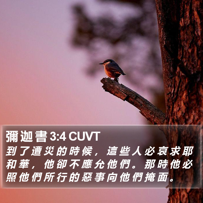 彌 迦 書 3:4 CUVT Bible Study