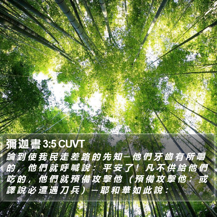 彌 迦 書 3:5 CUVT Bible Study