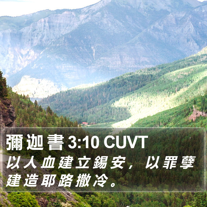彌 迦 書 3:10 CUVT Bible Study