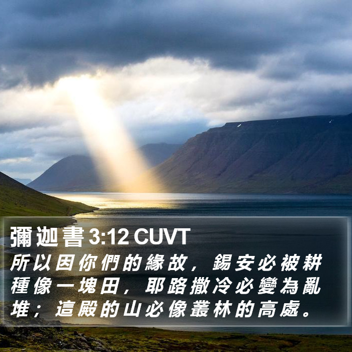 彌 迦 書 3:12 CUVT Bible Study