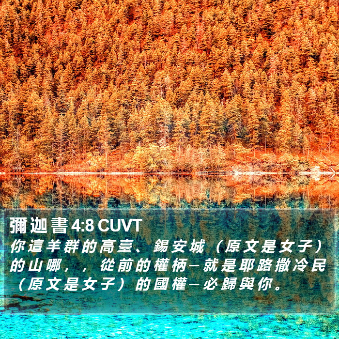 彌 迦 書 4:8 CUVT Bible Study