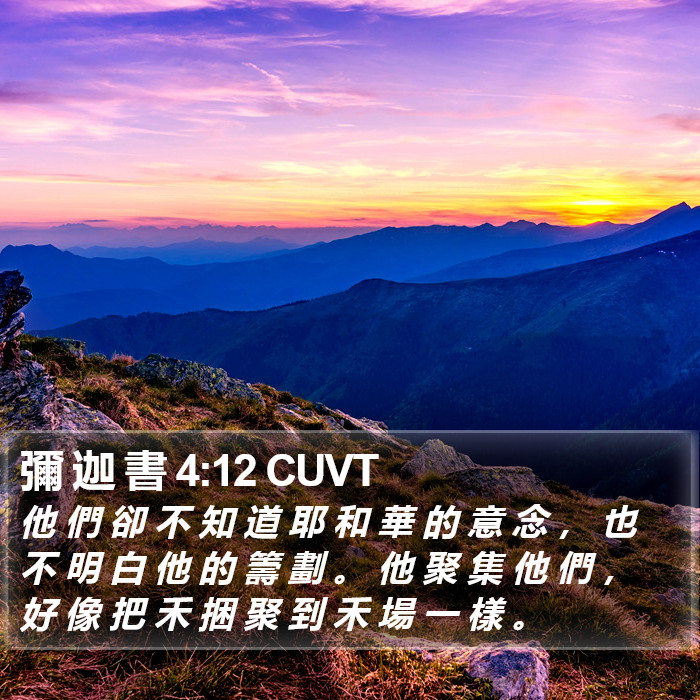 彌 迦 書 4:12 CUVT Bible Study