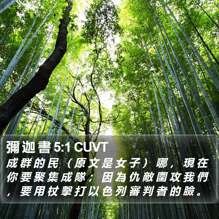 彌 迦 書 5:1 CUVT Bible Study