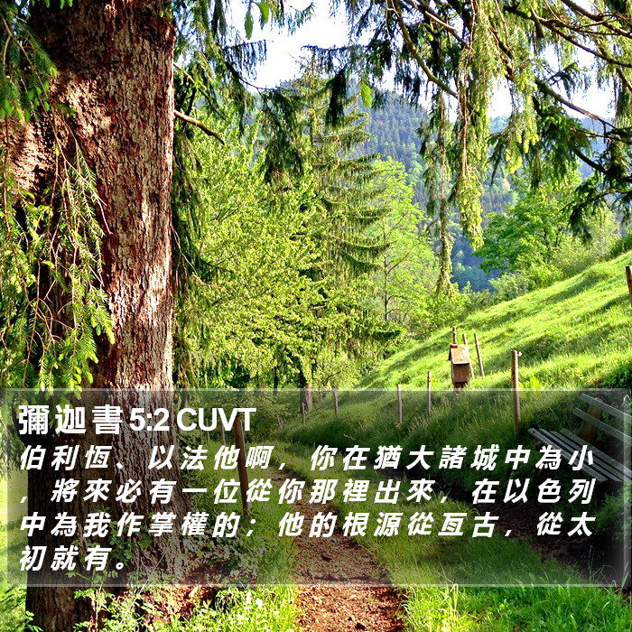 彌 迦 書 5:2 CUVT Bible Study