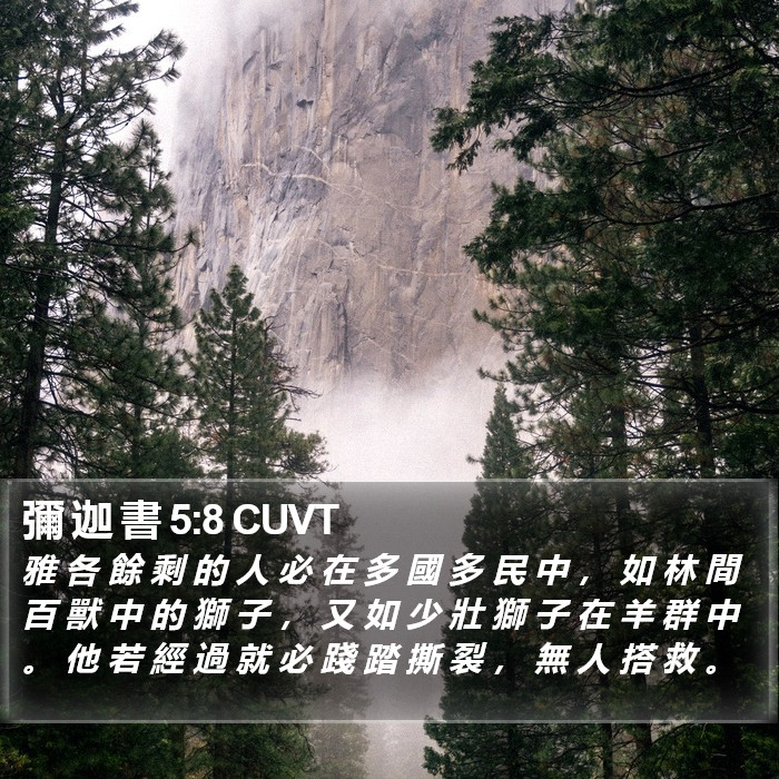 彌 迦 書 5:8 CUVT Bible Study