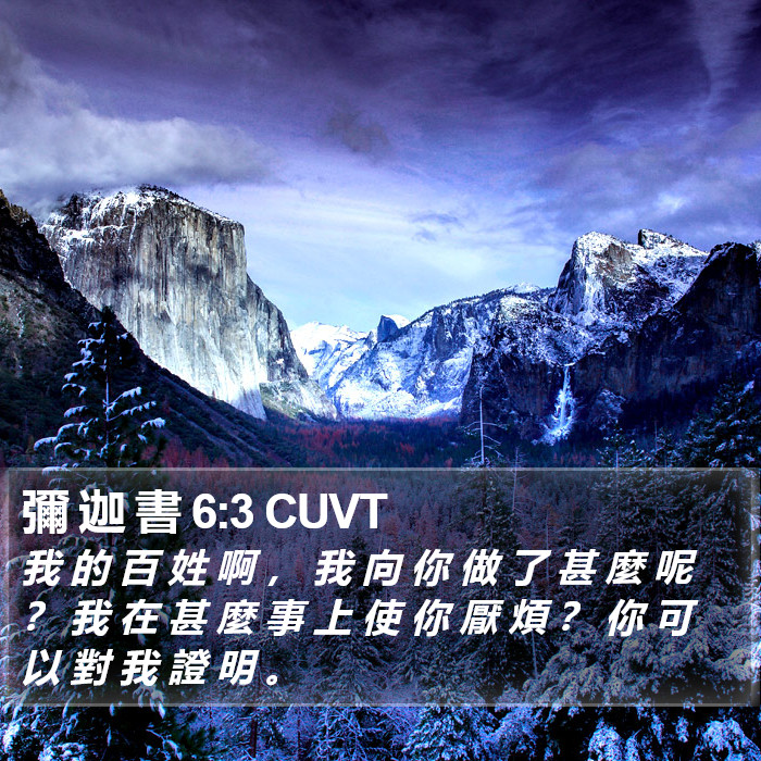 彌 迦 書 6:3 CUVT Bible Study