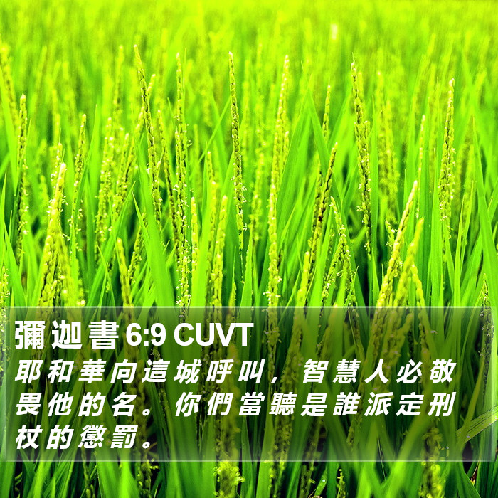 彌 迦 書 6:9 CUVT Bible Study