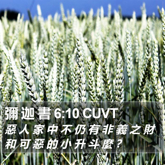 彌 迦 書 6:10 CUVT Bible Study