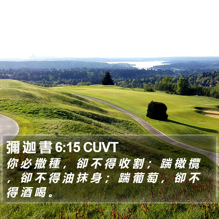 彌 迦 書 6:15 CUVT Bible Study