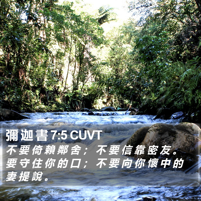 彌 迦 書 7:5 CUVT Bible Study
