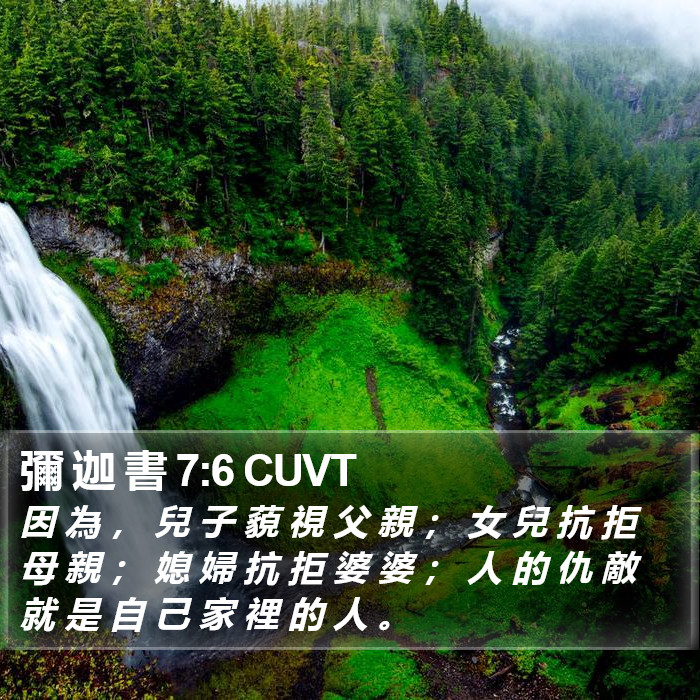 彌 迦 書 7:6 CUVT Bible Study
