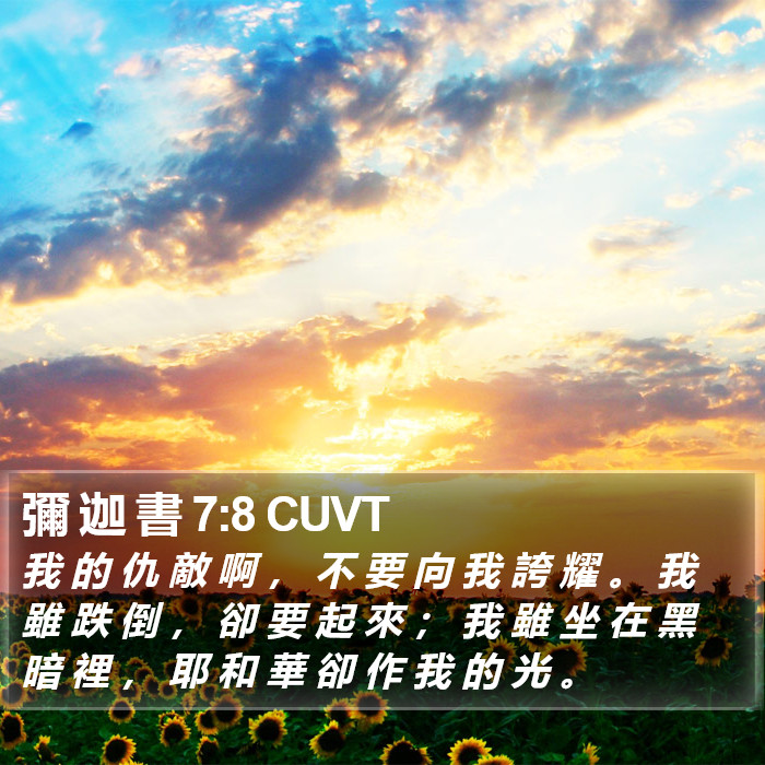 彌 迦 書 7:8 CUVT Bible Study