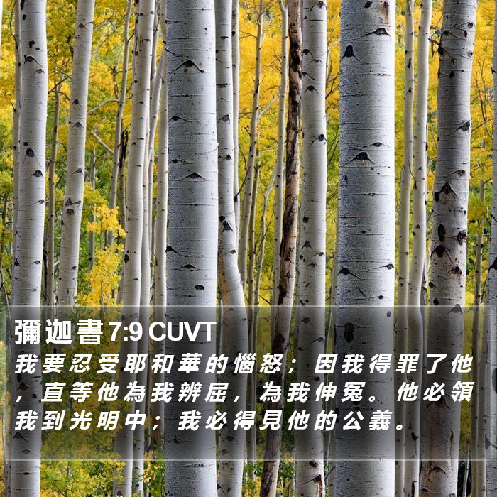 彌 迦 書 7:9 CUVT Bible Study