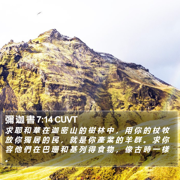 彌 迦 書 7:14 CUVT Bible Study