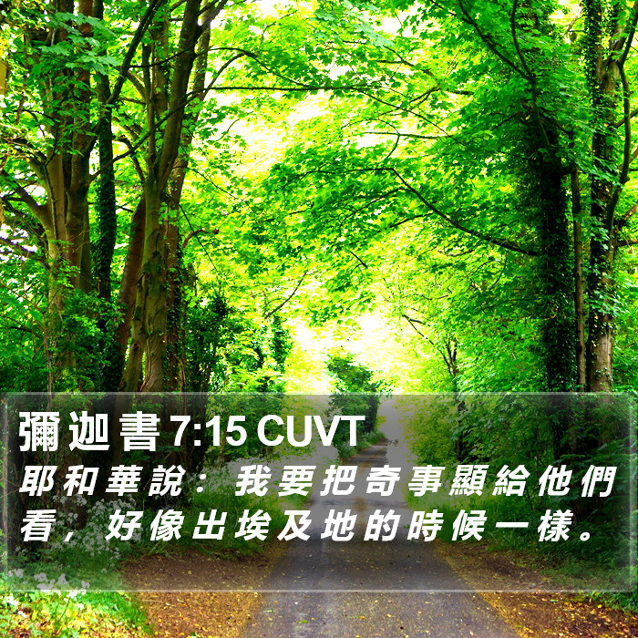彌 迦 書 7:15 CUVT Bible Study
