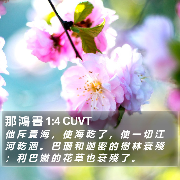 那 鴻 書 1:4 CUVT Bible Study