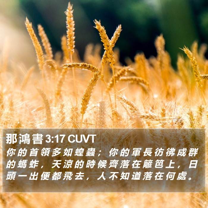 那 鴻 書 3:17 CUVT Bible Study