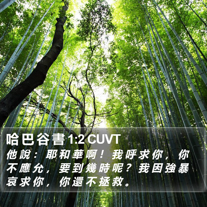 哈 巴 谷 書 1:2 CUVT Bible Study