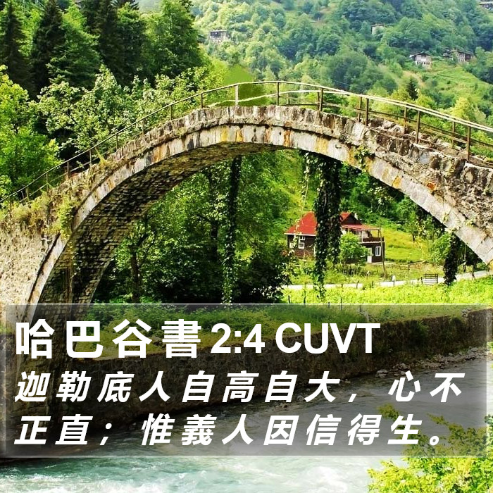 哈 巴 谷 書 2:4 CUVT Bible Study