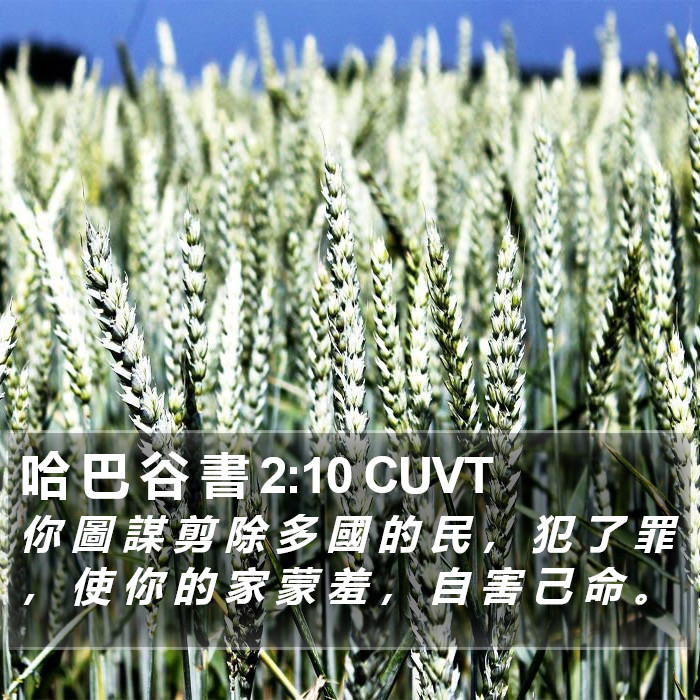 哈 巴 谷 書 2:10 CUVT Bible Study