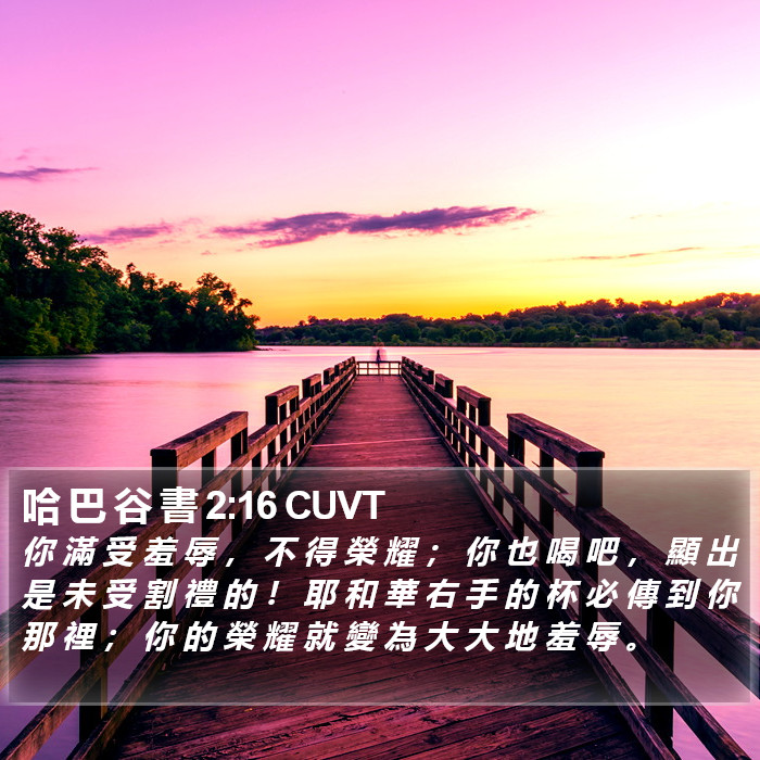 哈 巴 谷 書 2:16 CUVT Bible Study