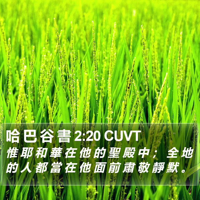 哈 巴 谷 書 2:20 CUVT Bible Study