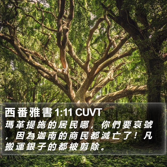 西 番 雅 書 1:11 CUVT Bible Study