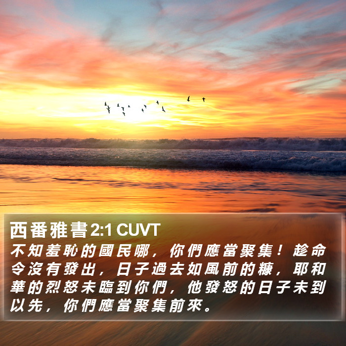 西 番 雅 書 2:1 CUVT Bible Study