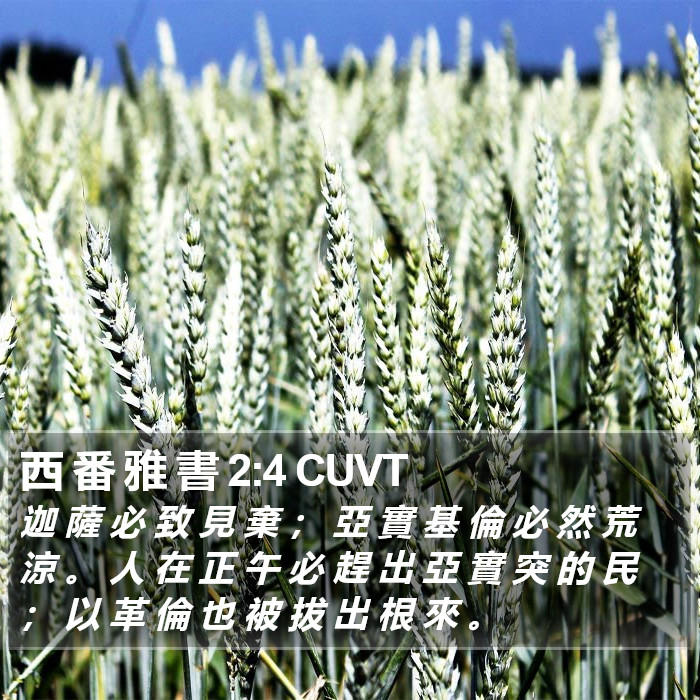 西 番 雅 書 2:4 CUVT Bible Study