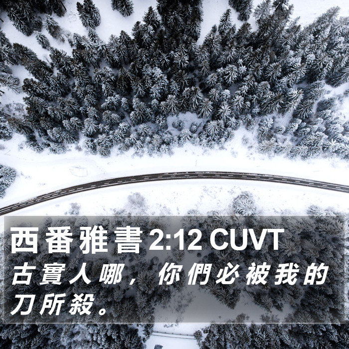 西 番 雅 書 2:12 CUVT Bible Study